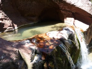 eau transparente dans raton