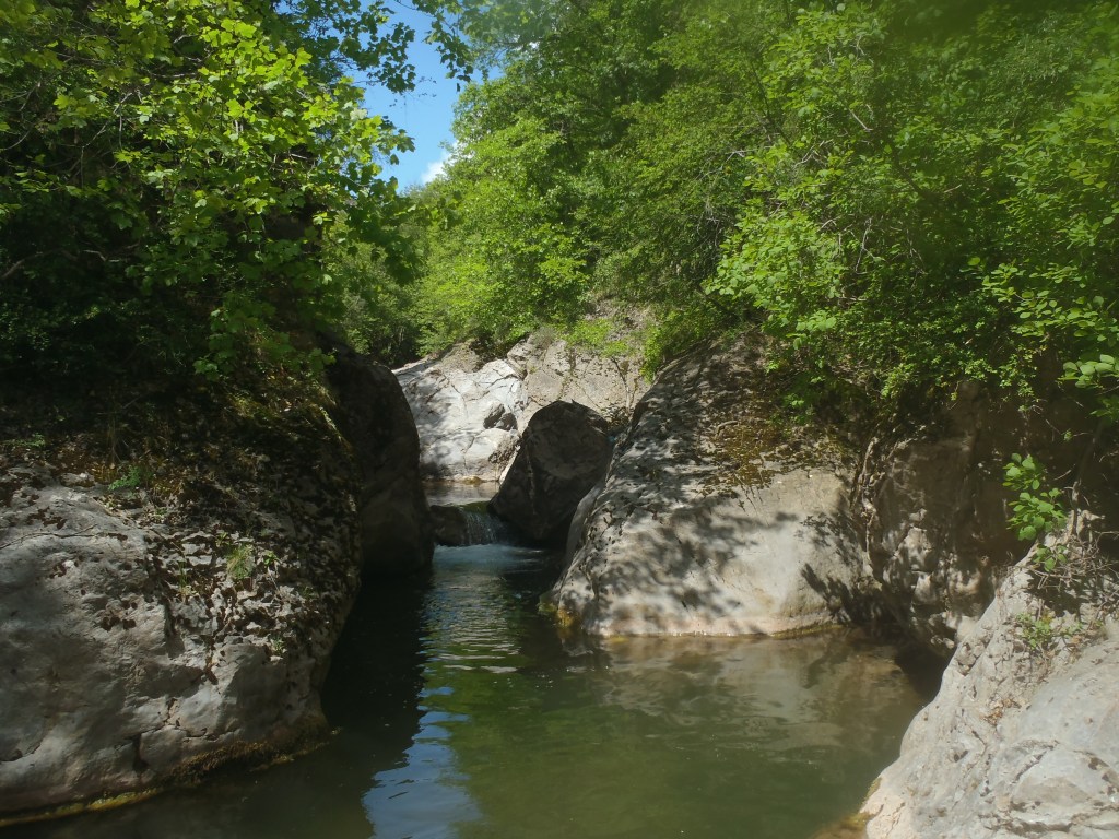 canyon entrevaux puget train des pignes