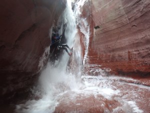 activité nature vers Nice