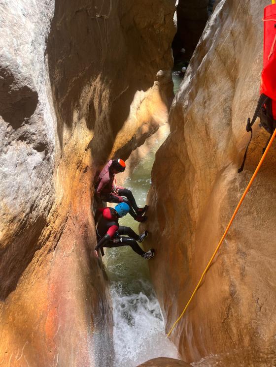 progression dans riolan